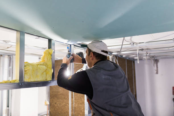 Best Attic Insulation Installation  in Woodsboro, TX