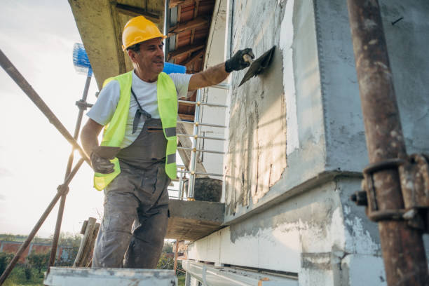 Best Cellulose Insulation  in Woodsboro, TX