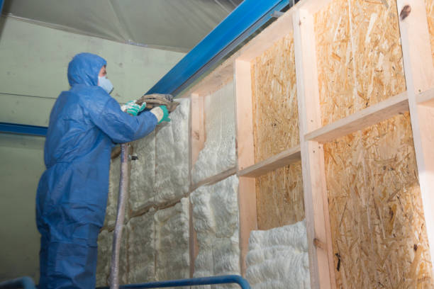 Best Insulation Contractors for Homes  in Woodsboro, TX