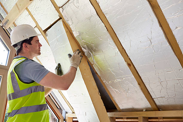 Best Garage Insulation Installation  in Woodsboro, TX