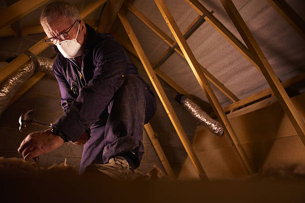 Best Spray Foam Insulation  in Woodsboro, TX