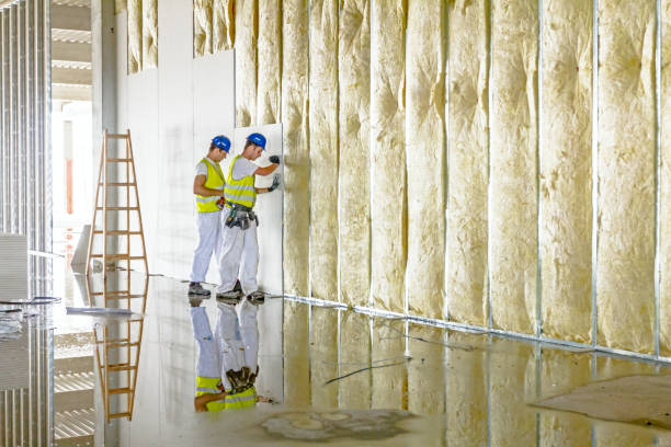 Best Fiberglass Insulation  in Woodsboro, TX
